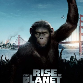 Telegram profile photo for New Movie Channel