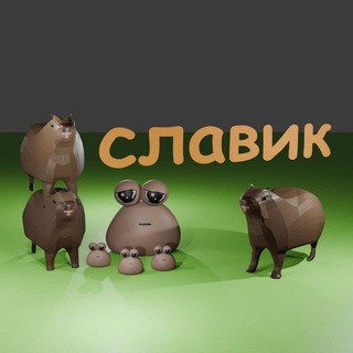 Telegram profile photo for канал славика