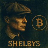 Telegram profile photo for 𝘼𝙢𝙤 𝙨𝙝𝙚𝙡𝙗𝙮 | عمو شلبی