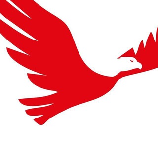 Telegram profile photo for Центр спорта и здоровья «Эксперт»