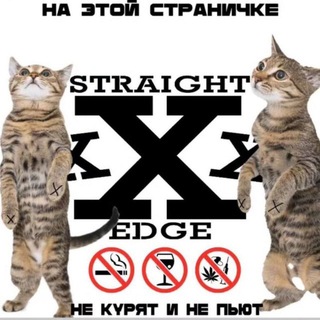 Telegram profile photo for песни лил пипа | lil peep