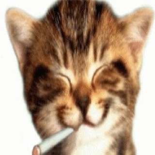 Telegram profile photo for Killswagga