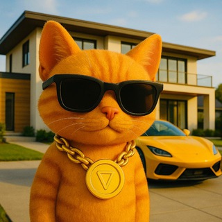 Telegram profile photo for feun cat