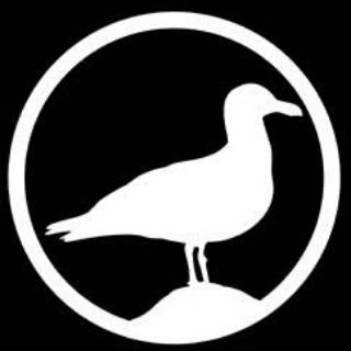 Telegram profile photo for Livingstone Snowboards