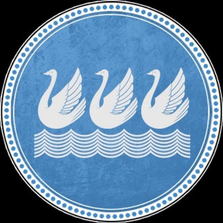 Telegram profile photo for Стерлитамак – Новости (дайджест)