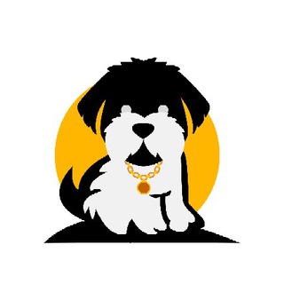 Telegram profile photo for Dn Annuncment