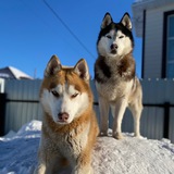 Telegram profile photo for Storm💨&Grom🌩