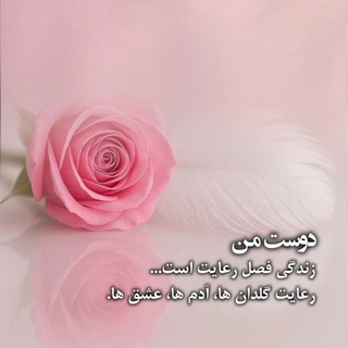 Telegram profile photo for دوست شما