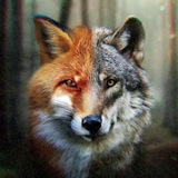 Telegram profile photo for WOLF&FOX BETS