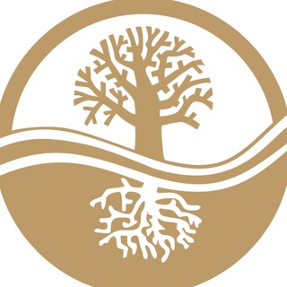 Telegram profile photo for Klinika_derevozhizni