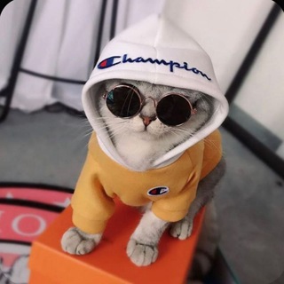Telegram profile photo for خبز يابس وكياس نايلو .