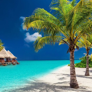 Telegram profile photo for 🏝Покровск-Тур🏝Горящие туры🔥