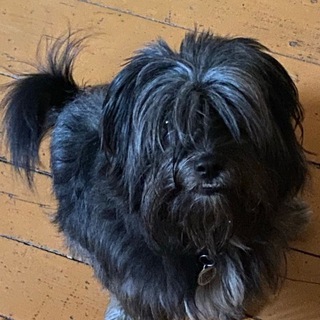 Telegram group profile photo for ПОТЕРЯШКИ СЕВЕРНЫЙ СВАО МОСКВА