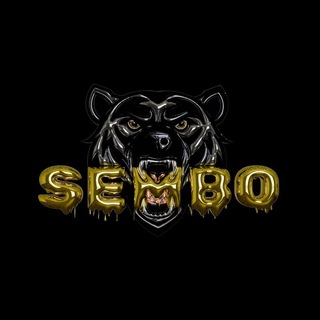 Telegram profile photo for Sembo 💨