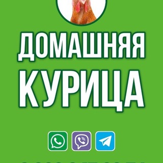 Telegram profile photo for ДОМАШНЯЯ КУРИЦА