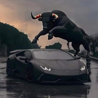 Telegram profile photo for Bulish |100X| calls