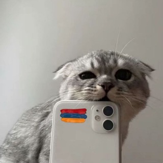 Telegram profile photo for Crypto mayner