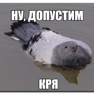 Telegram profile photo for Подслушано косплей Набережные Челны и Нижнекамск