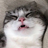 Telegram profile photo for КРАУС ОТЗЫВЫ