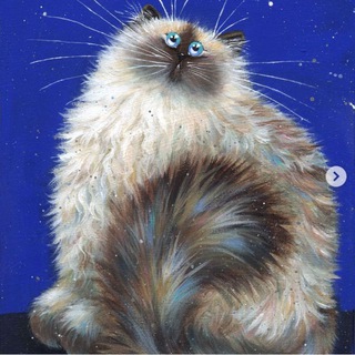 Telegram profile photo for Котики спасут мир