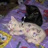 Telegram profile photo for ностальгия кф