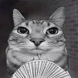 Telegram profile photo for @netrolos