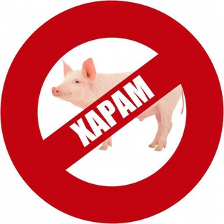 Telegram profile photo for hamster kombat