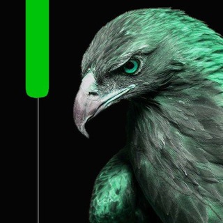 Telegram profile photo for نیما دانایی