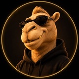 Telegram profile photo for Broke Camel