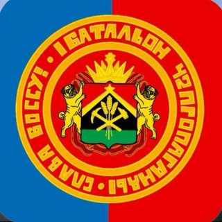 Telegram profile photo for Новый 1 батальон 42 пропаганды(h0ckeymod)