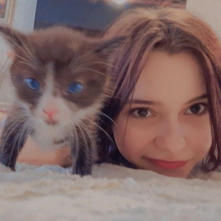 Telegram profile photo for Дора 2.0