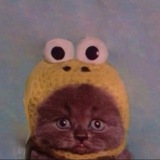 Telegram profile photo for Анкеты и прочее