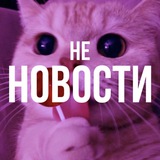 Telegram profile photo for не новости🐾