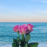 Telegram profile photo for مَٰـُـٰٓصَٰـُـٰٓمَٰـُـٰٓ🎀مَٰـُـٰٓه ꪖꪶꪖꪑꪖꪀ𝓲