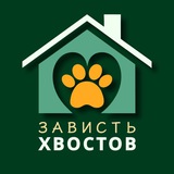 Telegram profile photo for Приют 🐾 ЗАВИСТЬ ХВОСТОВ
