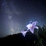 Telegram profile photo for astroloshka