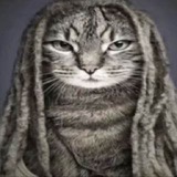 Telegram profile photo for rich nd stupid