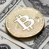 Telegram profile photo for AirDrops y páginas que pagan