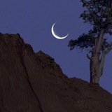 Telegram profile photo for Sahaf Archive