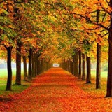 Telegram profile photo for یک جرعه آرامش