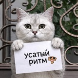 Telegram profile photo for ::Усатый ритм🎩