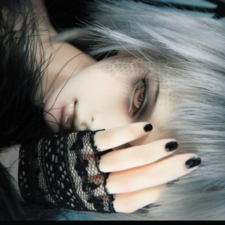 Telegram profile photo for theyburnedmywhitewings