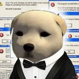 Telegram profile photo for HTTPS Official Portal