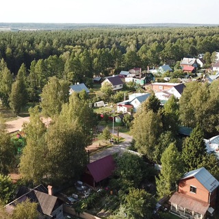 Telegram group profile photo for Зелёнка live