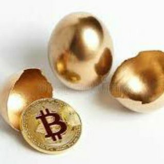 Telegram profile photo for 💰 Bitcoin Wealth 💰 БИТКОИНКУБАТОР