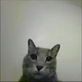 Telegram profile photo for Fix game #1