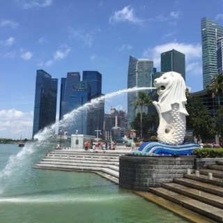 Telegram profile photo for 新加坡素材