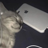 Telegram profile photo for МАЛАЯ община