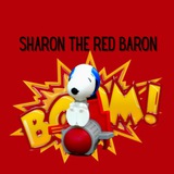 Telegram profile photo for Sharon the Red Baron