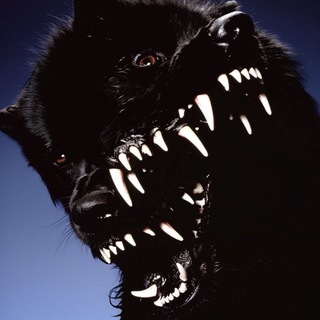 Telegram profile photo for go go! GORSKY